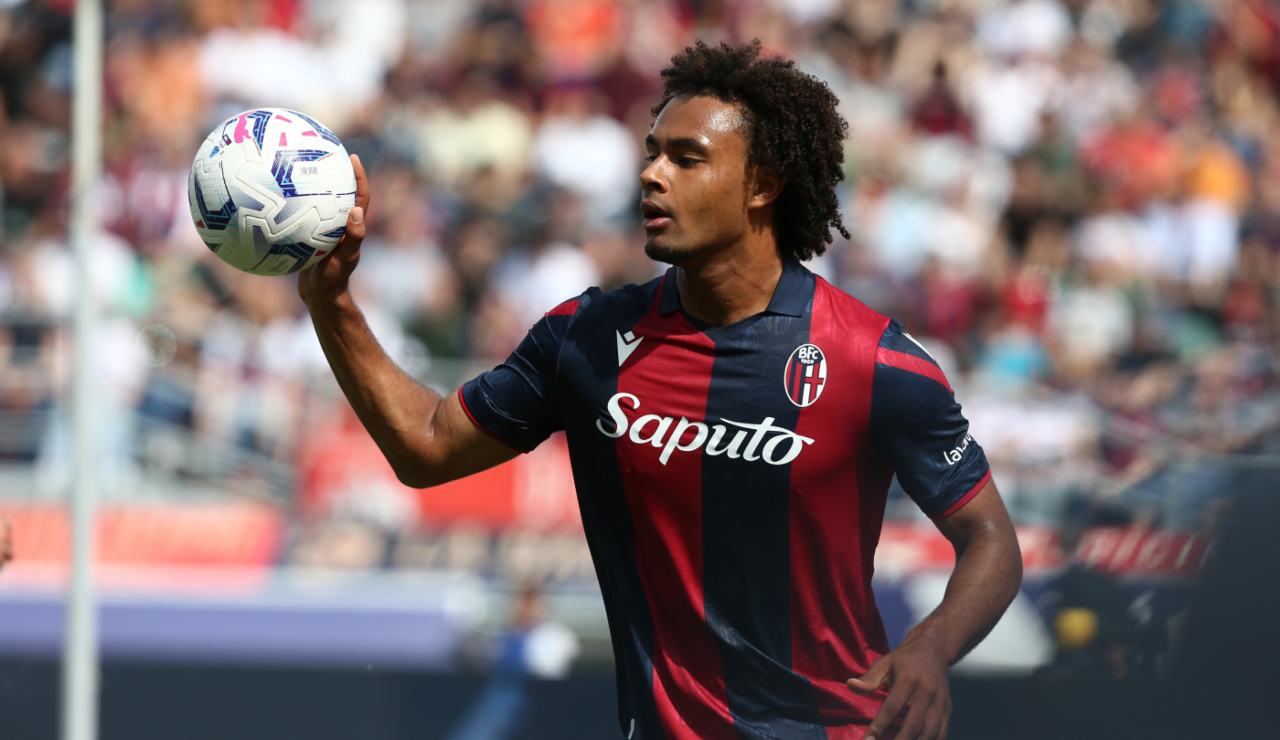Zirkzee con la maglia del Bologna nella stagione 2023-2024.